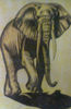 Elephant Image